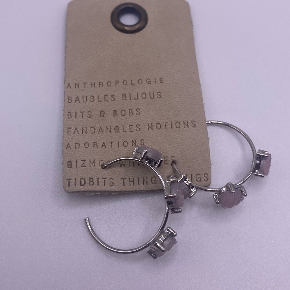 COPY - Anthropologie Silver & Pink Hoop Earrings